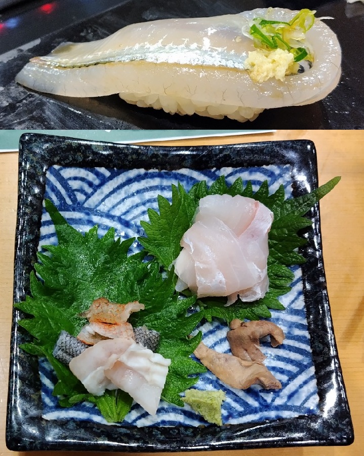 サヨリは悪口 豊洲おさかな図鑑－今日も寿司大に行ってきました（23）