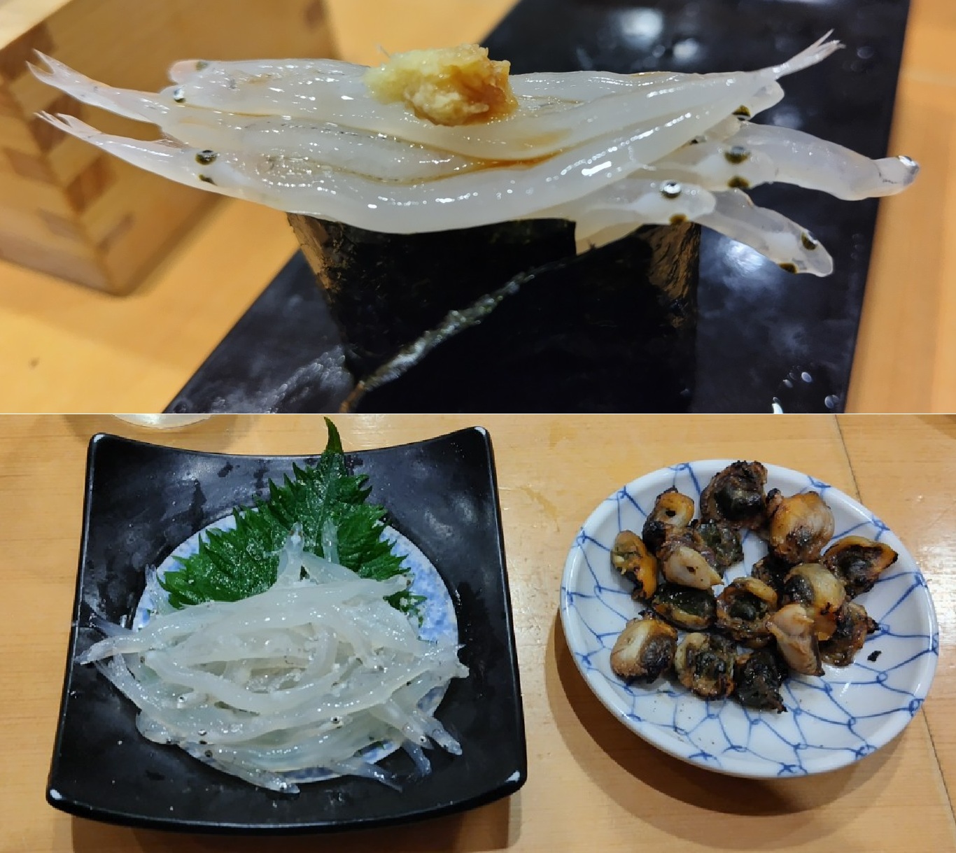 シラウオ（鮊）シロウオやシラスとは別物 豊洲おさかな図鑑－今日も寿司大に行ってきました（29）