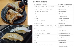 スズキがスズキ目をクビになった 豊洲おさかな図鑑-今日も寿司大に行ってきました(31) スズキがスズキ目をクビになった 豊洲おさかな図鑑-今日も寿司大に行ってきました(31)